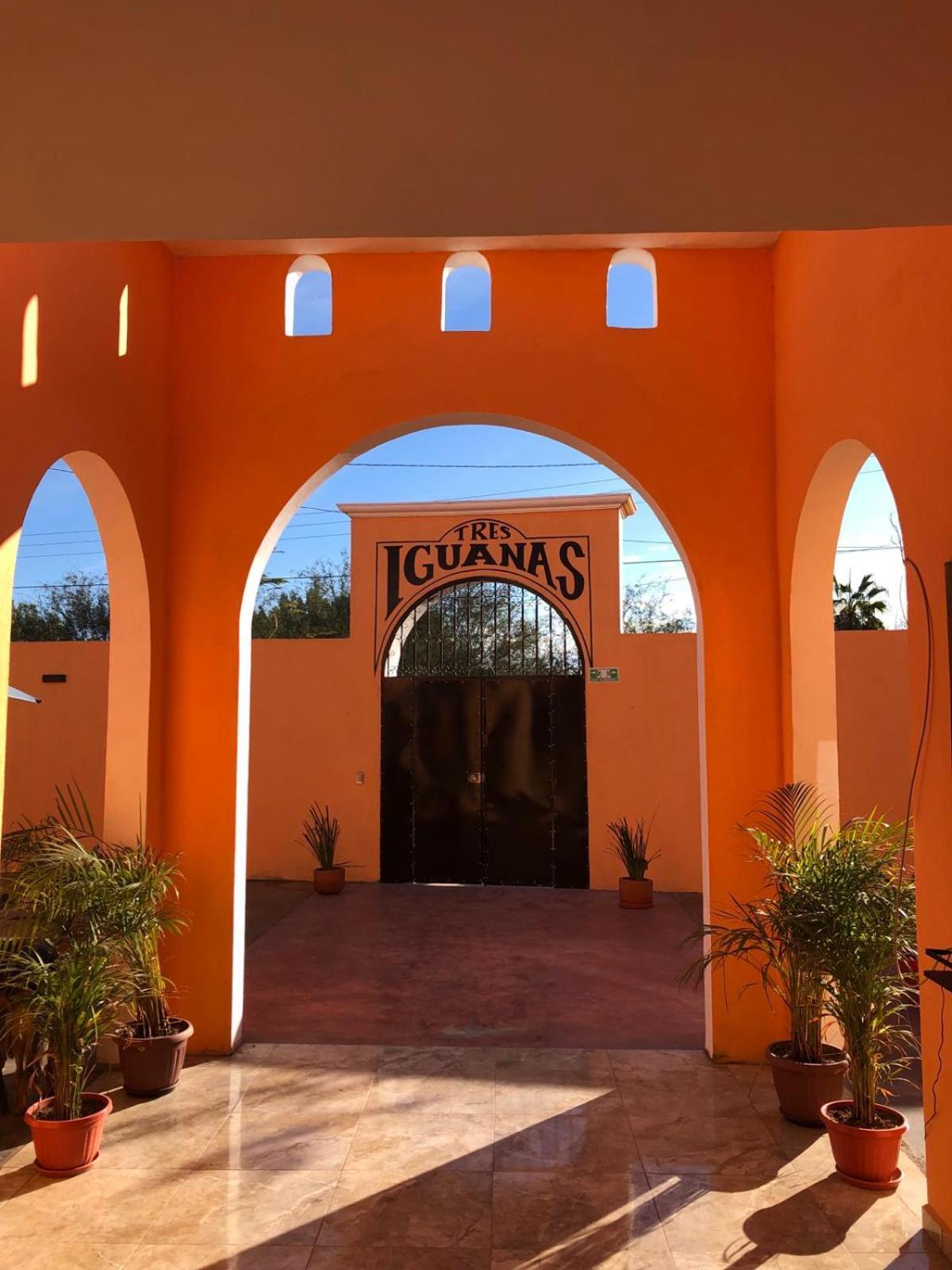 Tres Iguanas Apart Hotel - New, Cozy & Spacious Flats, Short Walk To Beach Loreto  Exterior photo