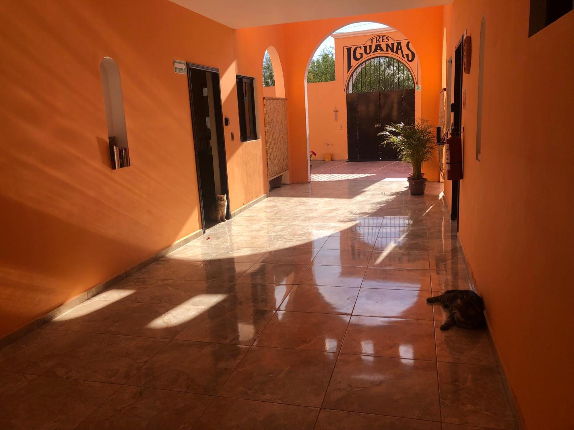 Tres Iguanas Apart Hotel - New, Cozy & Spacious Flats, Short Walk To Beach Loreto  Exterior photo
