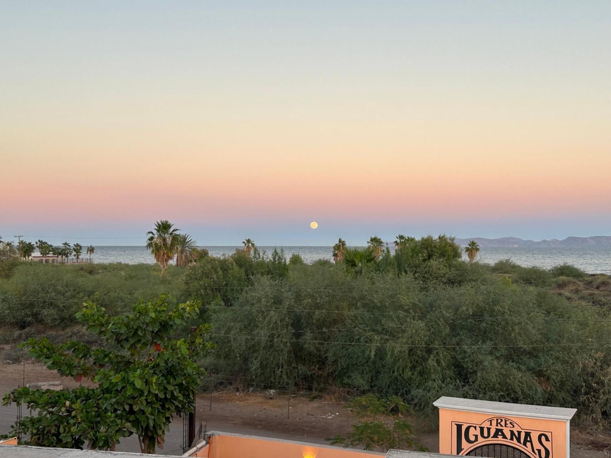 Tres Iguanas Apart Hotel - New, Cozy & Spacious Flats, Short Walk To Beach Loreto  Exterior photo